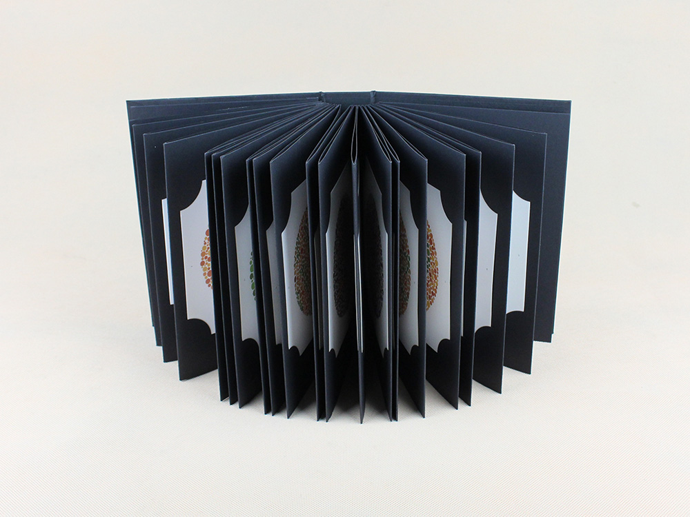 Ishihara Book 38 Plates Optome - Color Checker Card recension och pris