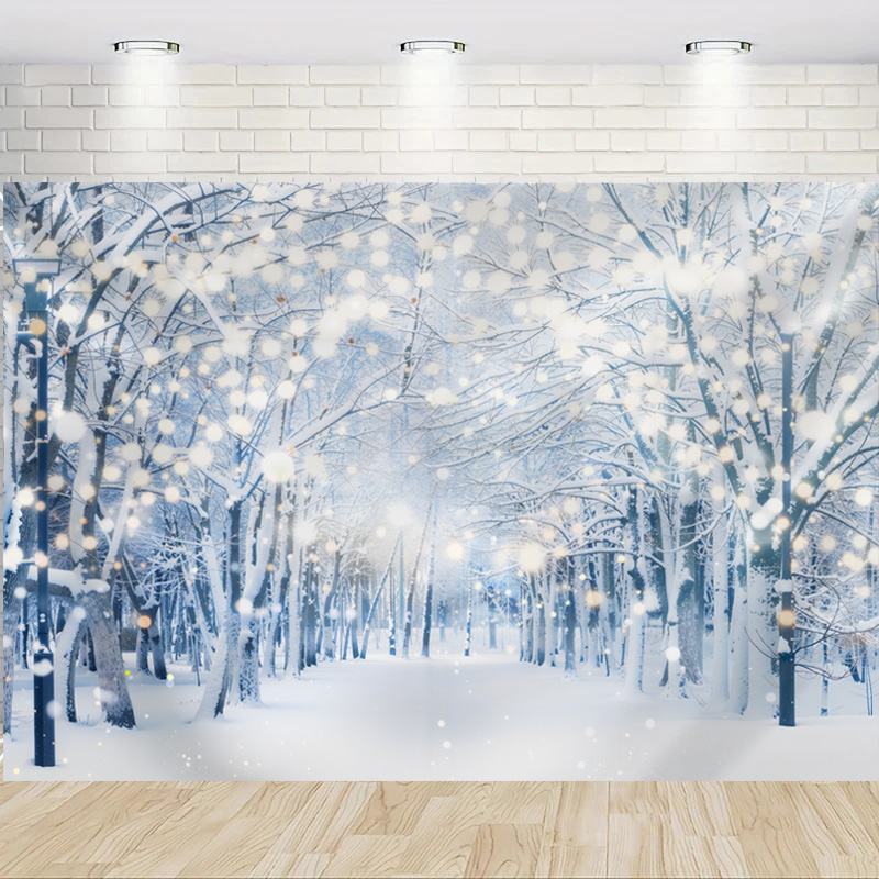 Merry Christmas Winter Snowy F - Photography Of The Year 2025 recension och pris